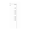 6ES7972-0AC80-0XA0 -  -  Simatic dp, rs 485-is coupler: модуль сопряжения станд